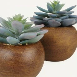 Succulente Artificielle Pot Bois 15cm Lot De 2 -Terre et Verdure 04d416dc541c8564