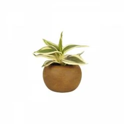 Plante Verte Artificielle Pot Effet Bois 14cm -Terre et Verdure 05f38bb46f0fe1bf