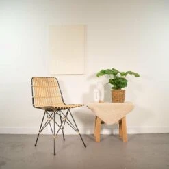 Calathea Orbifolia Et Son Panier Naturel - H40cm, ø14 Cm - Plante D'intérieur -Terre et Verdure 0a1d4522cdd0a9fb