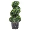 VIDAXL Plante De Buis Artificiel En Spirale Avec Pot Vert 59 Cm -Terre et Verdure 0ec1c401fd720399