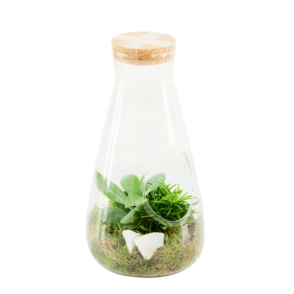 Terrarium Bambino 2 Plantes D'intérieur, D14 X H27cm 3 Terrarium Bambino 2 Plantes D'intérieur, D14 X H27cm