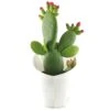 Opuntia Inamoena (ou Tacinga Inamoena) - Pot D14cm -Terre et Verdure 1024867 1471930