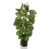 Emerald Monstera Artificiel Monkey 75 Cm En Pot 1 Emerald Monstera Artificiel Monkey 75 Cm En Pot -Terre et Verdure 17086429697fd8e5