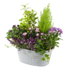 Composition D’Automne : Bassine Zinc, Ø 30 cm - - Coloris Variables -Terre et Verdure 199534 010