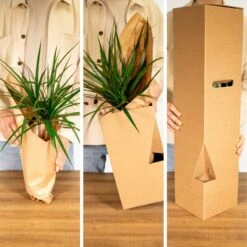 Tillandsia Et Son Support En Cube - H35cm, ø20cm - Plante D'intérieur Tombante 11 Tillandsia Et Son Support En Cube - H35cm, ø20cm - Plante D'intérieur Tombante -Terre et Verdure 1d4ca7b43168e807