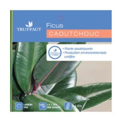 Caoutchouc : 3 Pieds Pot -Terre et Verdure 28705 001