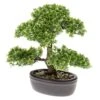 Emerald Mini BonsaĂŻ Ficus Artificiel Vert 32 Cm 420002 2 Emerald Mini BonsaĂŻ Ficus Artificiel Vert 32 Cm 420002 -Terre et Verdure 40f186998a9da7d1
