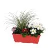 Jardinière De Bisannuelles Et Vivaces 40 Cm - Coloris Variables -Terre et Verdure 417571 006