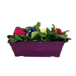 Primevères En Jardinière De 40cm Couleur - Coloris Variables -Terre et Verdure 440466 010