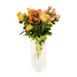 Botte De Roses Branchues - 5 Tiges : Coloris Variables 5 Botte De Roses Branchues - 5 Tiges : Coloris Variables -Terre et Verdure 482056 010