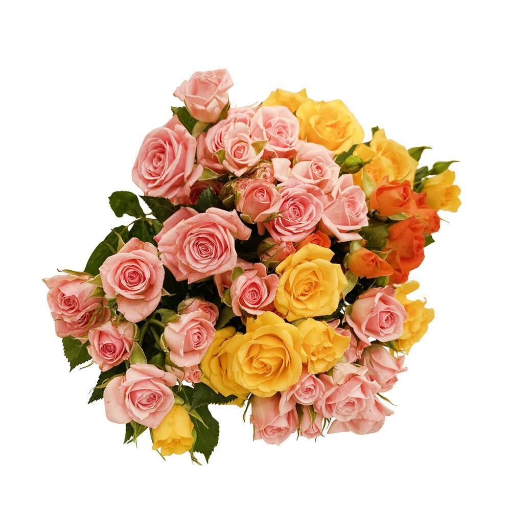 Botte De Roses Branchues - 5 Tiges : Coloris Variables 3 Botte De Roses Branchues - 5 Tiges : Coloris Variables