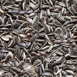 Graines De Tournesol Pour Oiseaux Du Jardin - 20 Kg 5 Graines De Tournesol Pour Oiseaux Du Jardin - 20 Kg -Terre et Verdure 486351 003