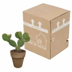 Opuntia Microdasys Et Son Cache-pot Marron - H40cm, ø17cm - Plante D'intérieur -Terre et Verdure 48d55715481eec9b