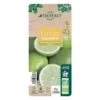 Limettier ' Mexicaine':AB Conteneur 3 Litres -Terre et Verdure 493535 006