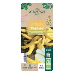 Main De Bouddah:AB Conteneur 3 Litres -Terre et Verdure 493536 006 1