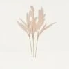 Plumeau Artificiel Rose 110cm Lot De 3 2 Plumeau Artificiel Rose 110cm Lot De 3 -Terre et Verdure 49ed1b26d1b89aa6