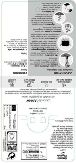 Lavandula Angustifolia Anna : C. 3L -Terre et Verdure 510699 005