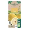 Yuzu AB:pot 3L -Terre et Verdure 540978 008