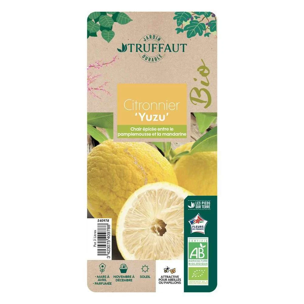 Yuzu AB:pot 3L 3 Yuzu AB:pot 3L