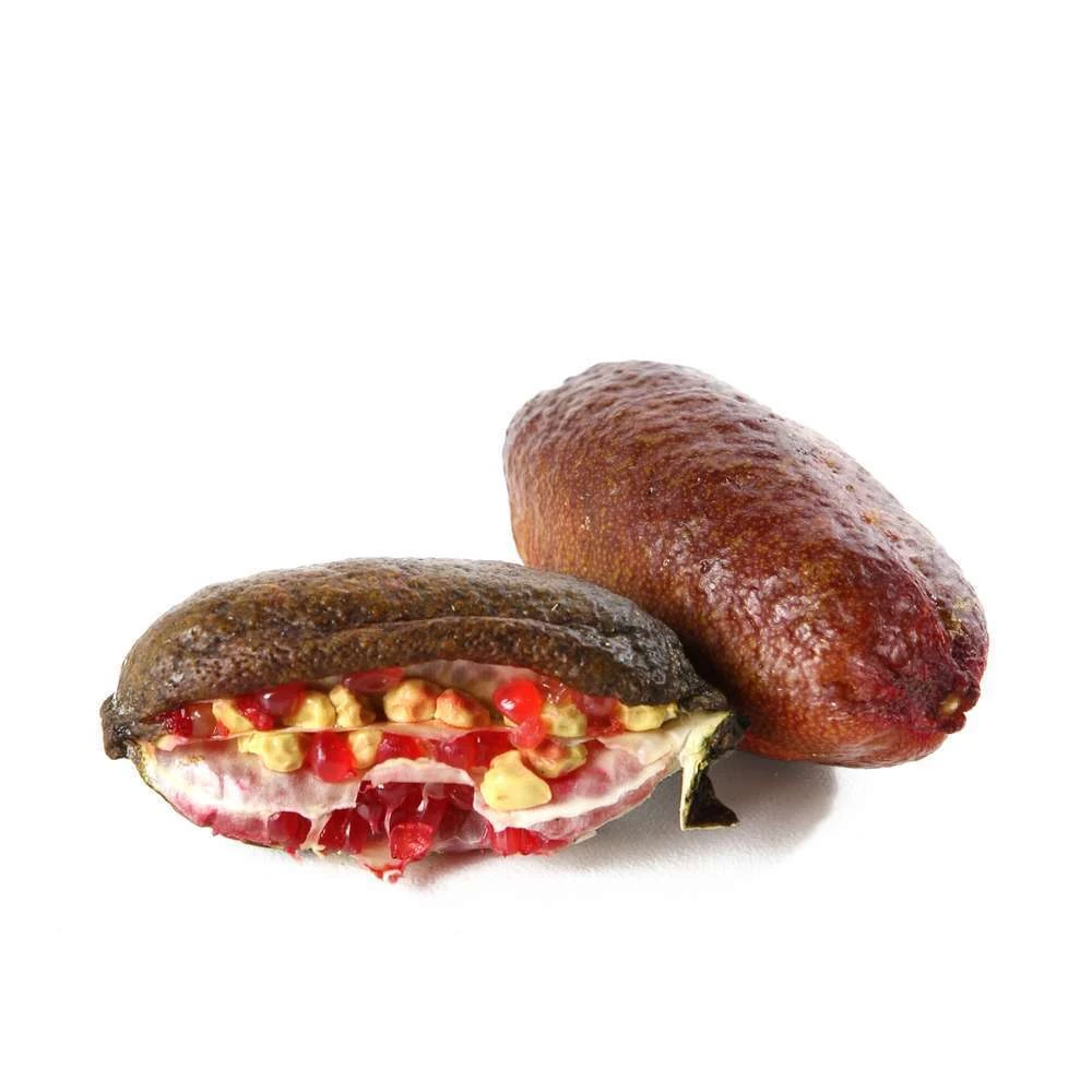 Citron Caviar : Fruits Rose C5L 5 Citron Caviar : Fruits Rose C5L – Image 3