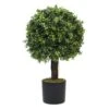 Plante Artificielle - Topiaire Buis 65cm 1 Plante Artificielle - Topiaire Buis 65cm -Terre et Verdure 639b1df22901b9.84953577