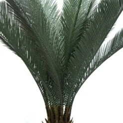 Plante Artificielle - Cycas Du Japon 80cm -Terre et Verdure 639b1df44cfa15.23999553