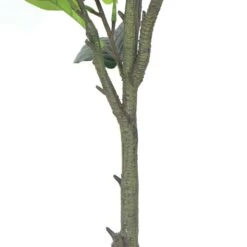 Plante Artificielle - Figuier 135cm -Terre et Verdure 63cbb442b97305.38121552