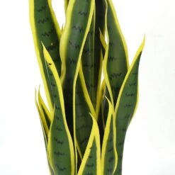 Plante Artificielle - Sanseviera Jaune 89cm -Terre et Verdure 63cbb449e03d87.82622051