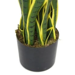 Plante Artificielle - Sanseviera Jaune 89cm -Terre et Verdure 63cbb449e3c2a8.85755282