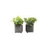 Plante Succulente Artificielle En Pot émaillé (lot De 2) -Terre et Verdure 63dd4fab74b249.00690017