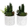 Plante Succulente Artificielle Pot En Ciment (lot De 2) -Terre et Verdure 63dd4fb24ade63.19650527