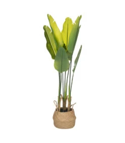 Devant 20 ATMOSPHERA Plante Artificielle Strelitzia En Pot H 120 Cm
