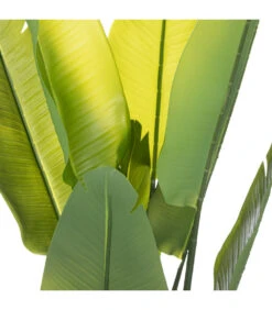 Devant -Terre et Verdure 63eb35d13eeed9.60093003