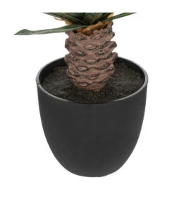 ATMOSPHERA Plante Artificielle Palmier En Pot H 52 Cm -Terre et Verdure 63eb35d3655c21.88613580