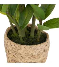ATMOSPHERA Plante Artificielle Zamio En Pot H 41 Cm 7 ATMOSPHERA Plante Artificielle Zamio En Pot H 41 Cm -Terre et Verdure 63eb35dbddde12.31611138