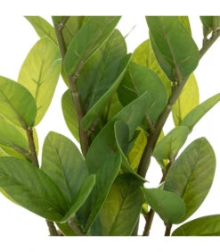 ATMOSPHERA Plante Artificielle Zamio En Pot H 41 Cm 6 ATMOSPHERA Plante Artificielle Zamio En Pot H 41 Cm -Terre et Verdure 63eb35dbe24004.82824450