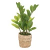 ATMOSPHERA Plante Artificielle Zamio En Pot H 41 Cm -Terre et Verdure 63eb35dbe68738.08171512