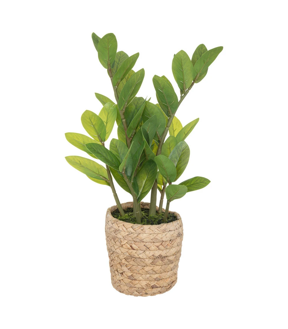 ATMOSPHERA Plante Artificielle Zamio En Pot H 41 Cm 3 ATMOSPHERA Plante Artificielle Zamio En Pot H 41 Cm