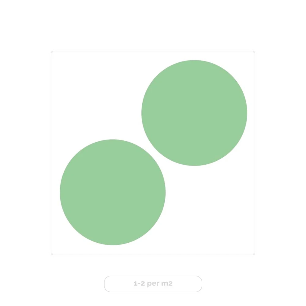 2x Eucalyptus Gunnii - Gommier - Arbuste - Persistant – ⌀17 Cm - ↕40-50 Cm 6 2x Eucalyptus Gunnii - Gommier - Arbuste - Persistant – ⌀17 Cm - ↕40-50 Cm – Image 4