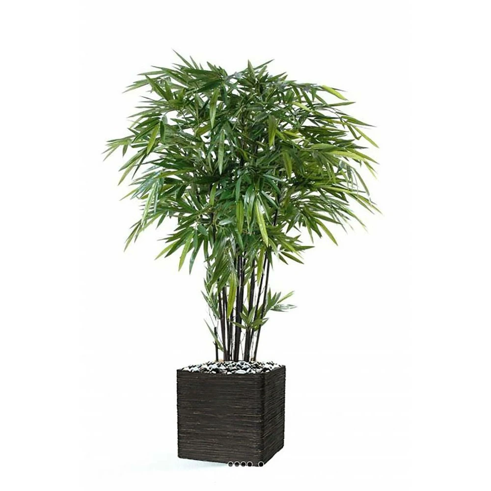 Bambou Artificiel à Cannes Noires Effet Zen H 270 Cm - Choisissez Votre Hauteur: 4 Bambou Artificiel à Cannes Noires Effet Zen H 270 Cm - Choisissez Votre Hauteur: – Image 2