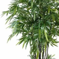Bambou Artificiel à Cannes Noires Effet Zen H 270 Cm - Choisissez Votre Hauteur: 7 Bambou Artificiel à Cannes Noires Effet Zen H 270 Cm - Choisissez Votre Hauteur: -Terre et Verdure 63f6080a4cc649.27920023