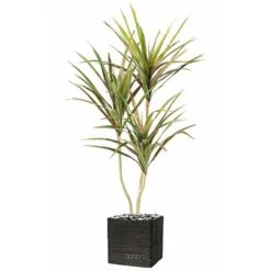 Dracaena Artificiel 3 Troncs En Pot H 190 Cm Vert-rose - Choisissez Votre Hauteu -Terre et Verdure 63f6080eea43b1.14096174