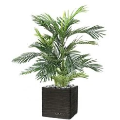 Joli Palmier Areca Artificiel En Pot Multitroncs H 85 Cm Vert - Choisissez Votre -Terre et Verdure 63f60811bcd531.32025912