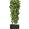 Schefflera Artificiel En Colonne En Pot H 195 Cm Vert-jaune 1 Schefflera Artificiel En Colonne En Pot H 195 Cm Vert-jaune -Terre et Verdure 63f60821727c15.67875489