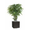 Bambou Artificiel à Cannes Noires Effet Zen H 150 Cm - Choisissez Votre Hauteur: 1 Bambou Artificiel à Cannes Noires Effet Zen H 150 Cm - Choisissez Votre Hauteur: -Terre et Verdure 63f60825f13026.43159111