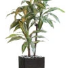 Dracaena Artificiel 3 Têtes H 90 Cm En Pot Vert-jaune 1 Dracaena Artificiel 3 Têtes H 90 Cm En Pot Vert-jaune -Terre et Verdure 63f608277db9f1.81268139