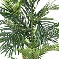 Joli Palmier Areca Artificiel En Pot Multitroncs H 150 Cm Vert - Choisissez Votr 7 Joli Palmier Areca Artificiel En Pot Multitroncs H 150 Cm Vert - Choisissez Votr -Terre et Verdure 63f6082a9b5b29.86471763