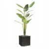 Palmier Arbre Du Voyageur Artificiel H 220 Cm En Pot 14 Feuilles -Terre et Verdure 63fa513f624853.04844827