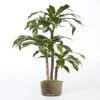Dracaena Artificiel Fragrans 3 Troncs En Pot H 150 Cm Vert D 70 Cm - Choisissez -Terre et Verdure 63fa514108ba87.73740352