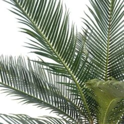 Palmier Cycas Artificiel En Pot H 50 Cm Vert - Choisissez Votre Hauteur: H 50 Cm -Terre et Verdure 63fa5142a15859.96036681
